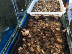 蒜蓉生蚝-鼓歌海鲜舫·手抓海鲜(大学城店)