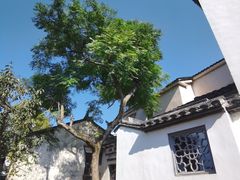 -东山风景区(洞庭东山)