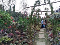 -三圣花乡旅游区