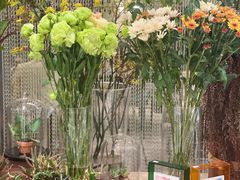 -PlantsEatery·植物食堂(REX春熙店)