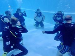 -上海潜殿潜水中心