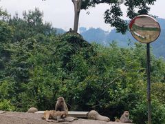-黔灵山公园