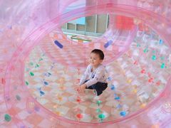 -百万葵园