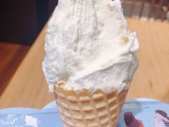 茉莉花蜂蜜冰淇淋-野人先生现做冰淇淋(北京环宇荟店)