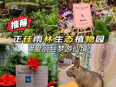 -正佳雨林生态植物园