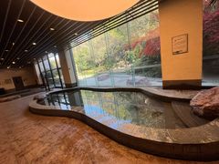 -天目湖涵田半山温泉