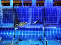 -陆记鹅庄·潮汕菜·狮头鹅(大仟里店)