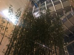 -上海雅居乐万豪侯爵酒店