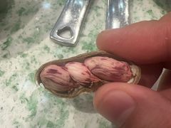 -爱丽格斯火锅(东岸国际店)