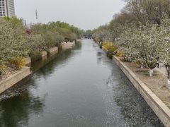 -元大都城垣遗址公园