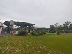 -上海长兴岛郊野公园