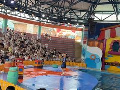 -海合安武汉极地海洋公园