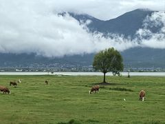 -钰洁腊排骨火锅