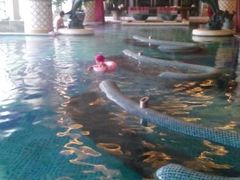 -月亮河温泉度假酒店