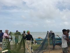 -尼甘布海鲜市场