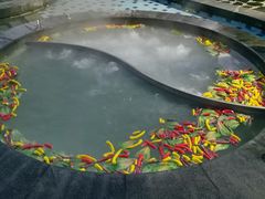 -扬州瘦西湖温泉