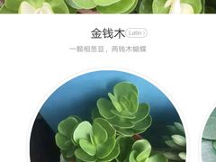 -秦美花卉(天朗·莱茵小城2期店)