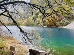 -叠溪松坪沟景区