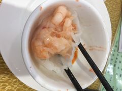 渔鸽皇-渔鸽皇(鸿大广场店)