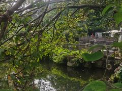 -桂湖森林公园