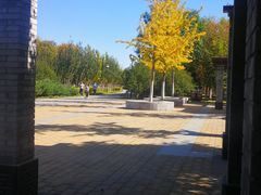 -永定河休闲森林公园