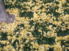 -西贝莜面村(近铁城市广场店)