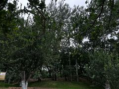 -元大都城垣遗址公园