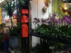 -溪岸路花鸟市场