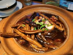淮扬炒软兜-扬州狮子楼·非遗淮扬菜(东关街店)