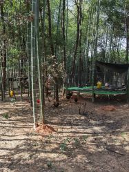 -长沙小顽国景区