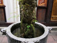 -鱼桥巷·美学川菜