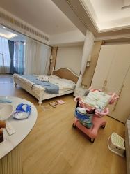 -维倪月子会所(独栋庭院·南海店)