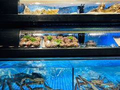 -日进一片海.生腌海鲜火锅.宵夜烧烤(三里屯总店)
