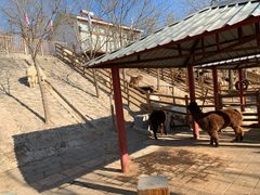 -北京鹿世界主题园