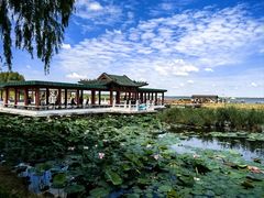 -黑龙江扎龙生态旅游区