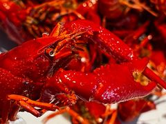 -老长沙龙虾馆(梅林店)