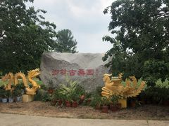 -御林古桑园