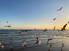 -老虎石海上公园