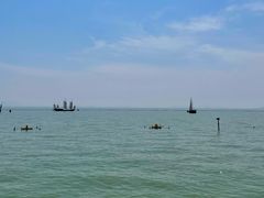 -贡湖湾湿地公园