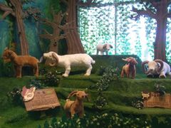 -济州岛泰迪熊博物馆