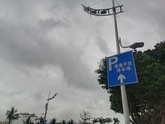 -观澳平台