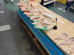-西归浦每天偶来市场