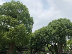 -韩湘水博园