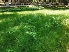 -陕西师范大学(雁塔校区)