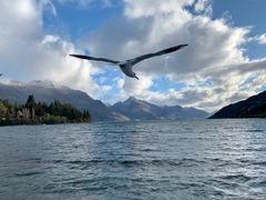 -Patagonia Chocolates(皇后镇店)