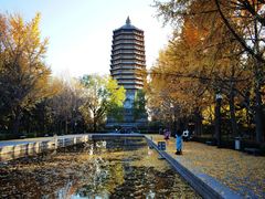 -玲珑塔公园