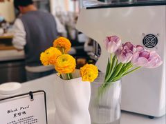 -COMPANION COFFEE小伴咖啡