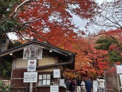 -常寂光寺