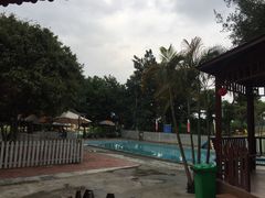 -良成狗狗乐园