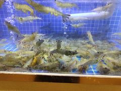-鲁商铂尔曼大酒店·铂丽自助餐厅